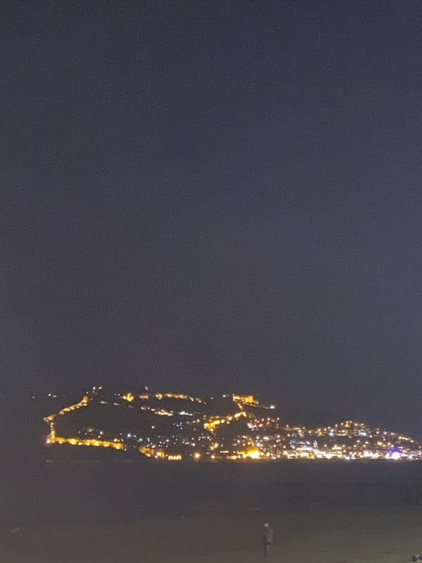 Evening stroll captures cats, flowers, snails in Alanya