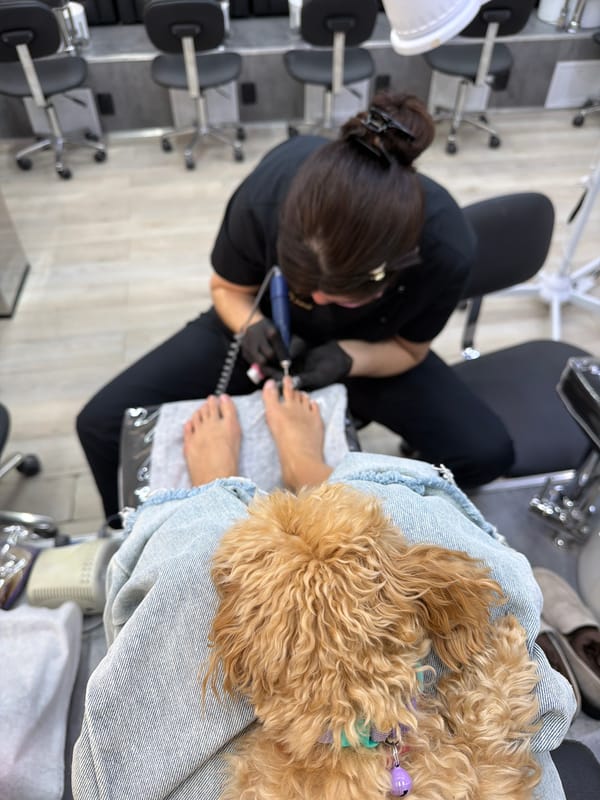 Pedicure session includes canine companion in Moscow salon