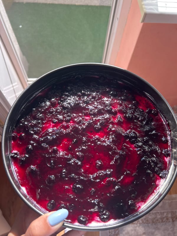 Berry-topped cheesecake photographed in Plovdiv, Bulgaria