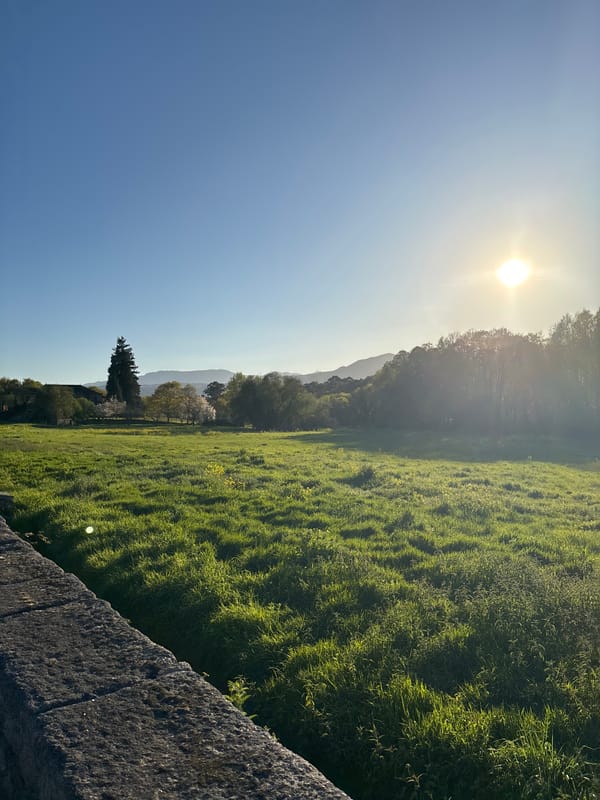 Rural landscape views captured in Vila Real countryside