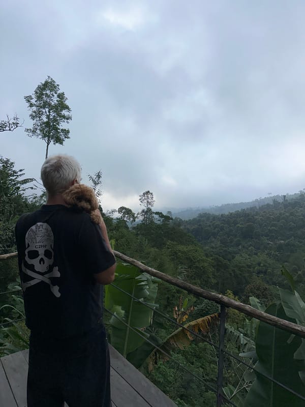 Person with dog photographed in Banjar Indonesia forest setting