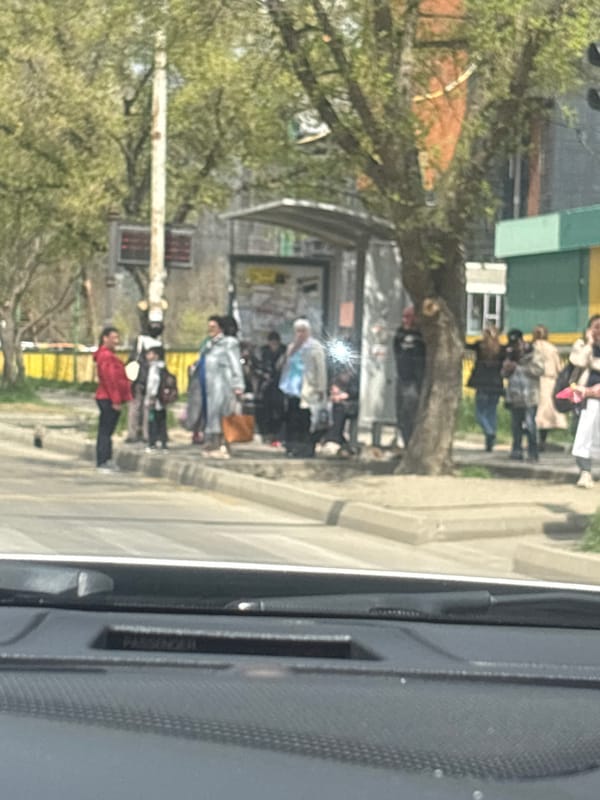 Commuters wait at tree-lined bus stop in Tbilisi