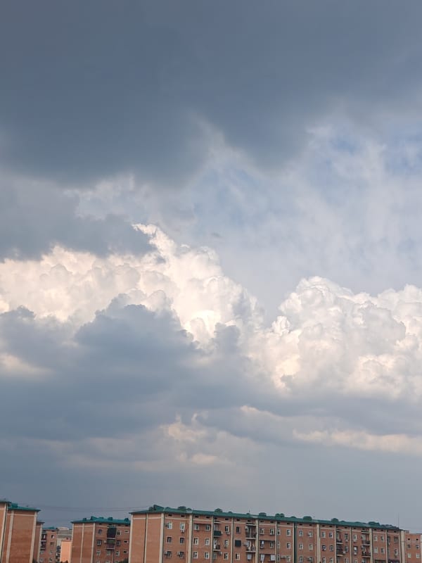 Tashkent morning: tortoises, Lego sets, birds, and balcony skies