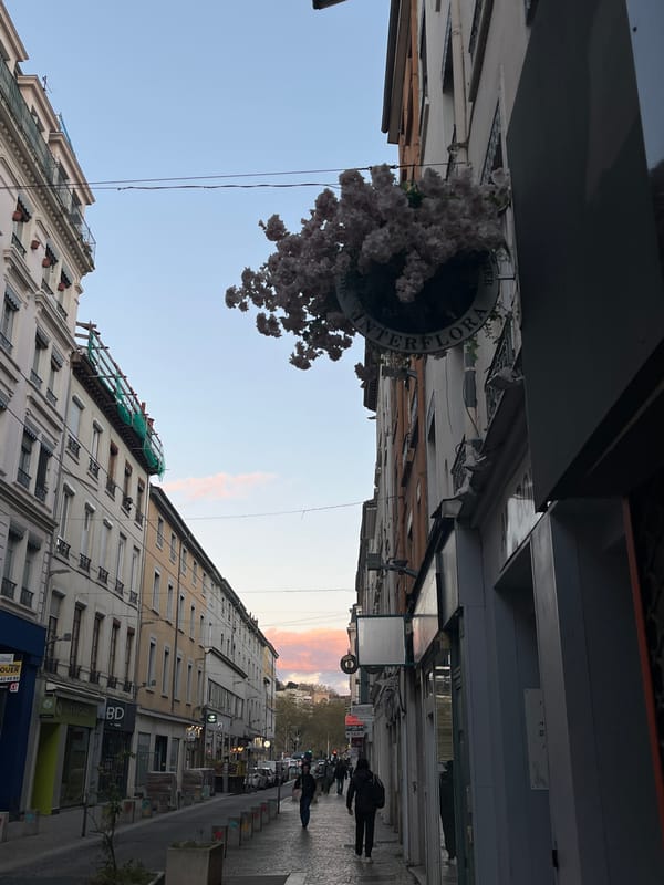 Daily life moments captured in Lyon: street scene and cooking