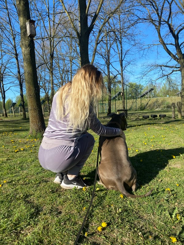 Woman walks pitbull in Łódź park during early morning