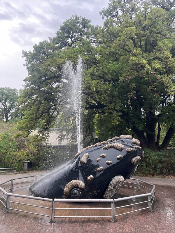 Wildlife viewing session documented at Buenos Aires Ecoparque