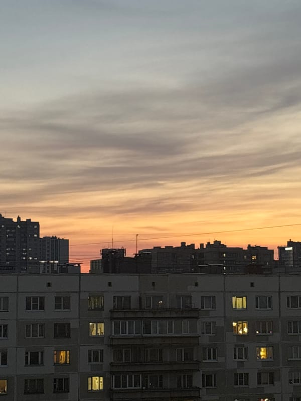 Vsevolozhsk residents document cityscape and goldfish artwork