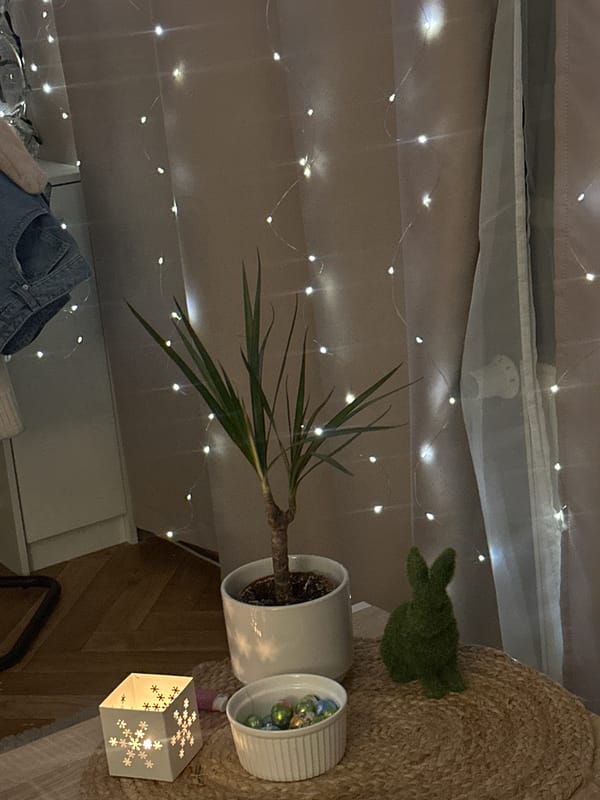 Indoor home decoration scene captured in Liepaja, Latvia