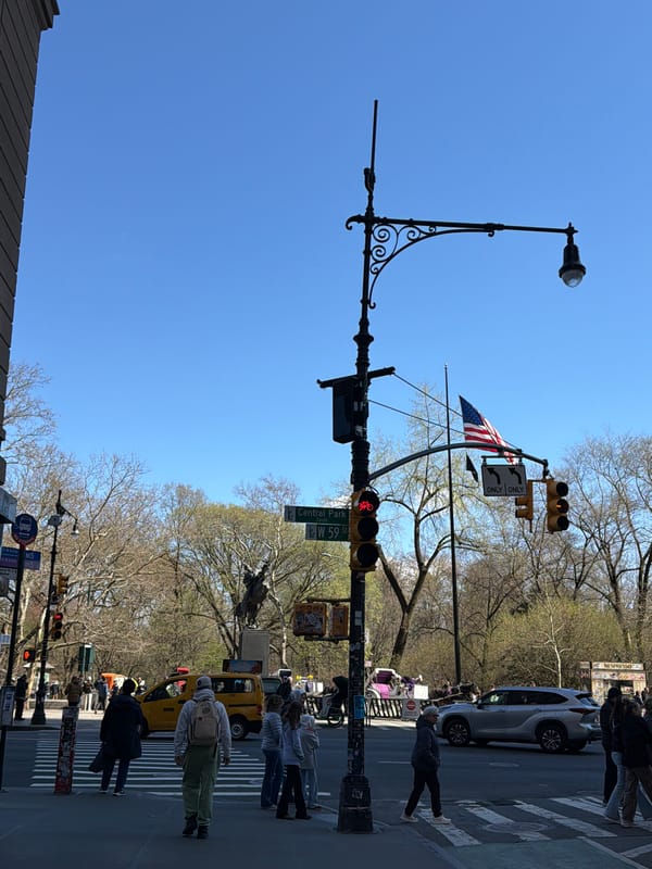 Street scenes documented near Central Park South Monday afternoon