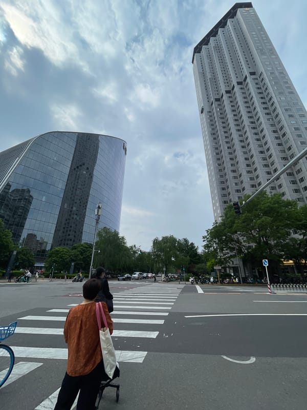 Late-night pedestrian crossing captured in Beijing's Chaoyang District