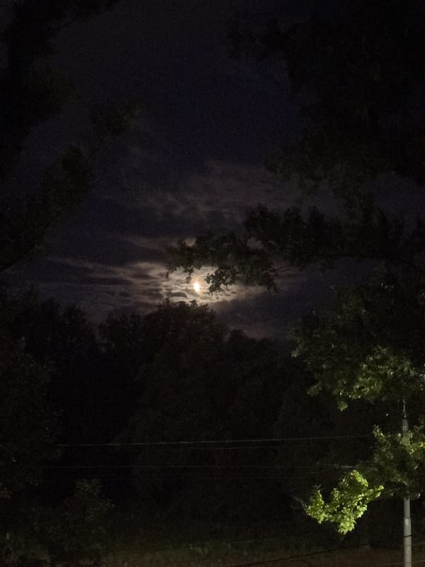 Moon visible through clouds and trees in Rusanovo