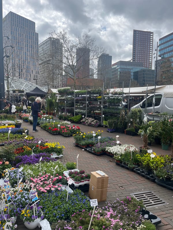 Busy flower market draws customers in Rotterdam