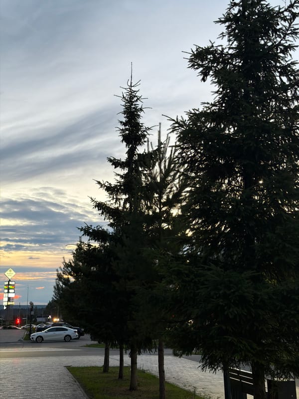 Nizhnekamsk streets and mall district at dusk