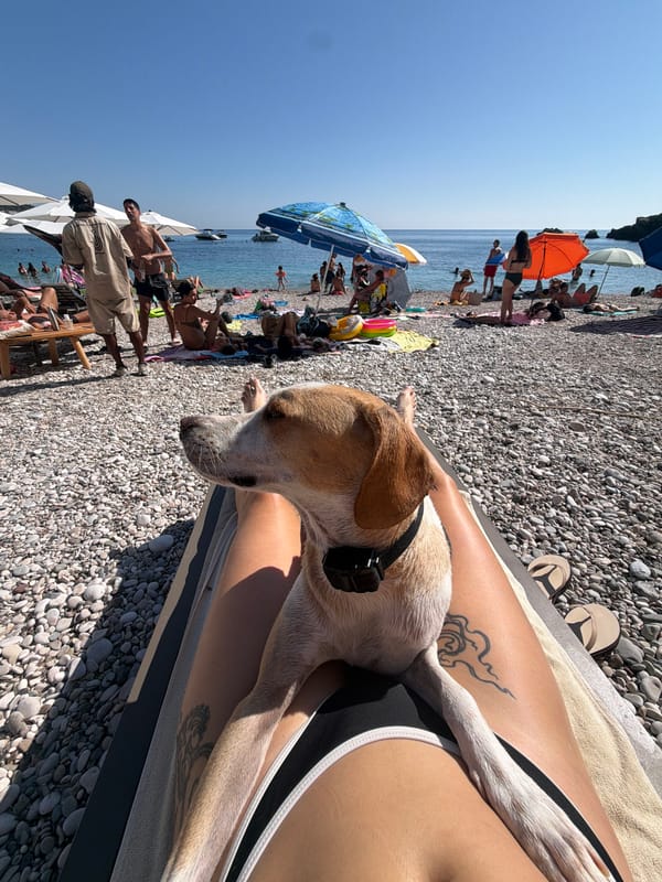 Lazy beach afternoon in Drobnići — sun, food, and a dog