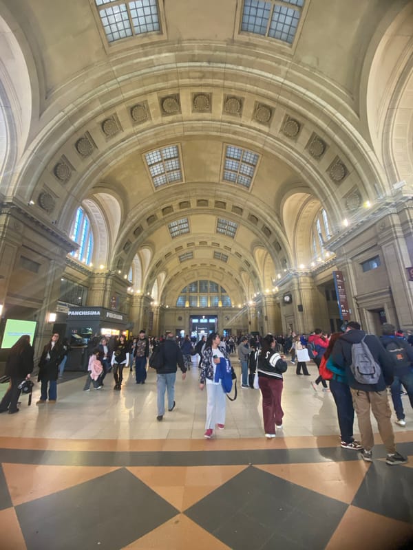 Witness documents Retiro station architecture and trains in Buenos Aires