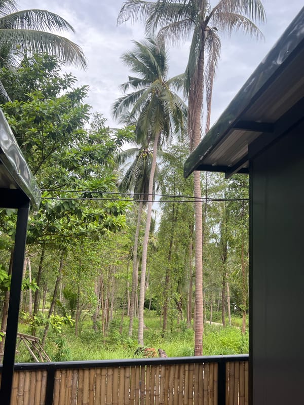 Grounds and palms of a tropical Ko Pha-ngan property