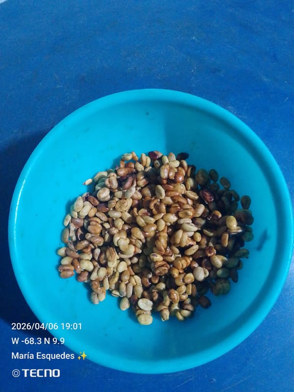 Evening snapshots document daily life in Tinaquillo, Venezuela