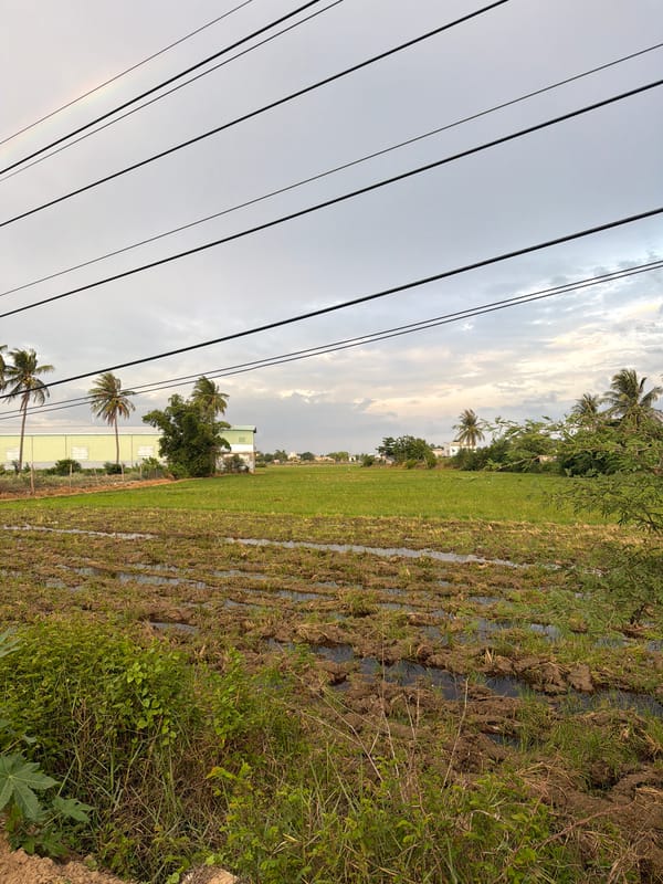 Rural life documented in An Hải Vietnam morning scenes