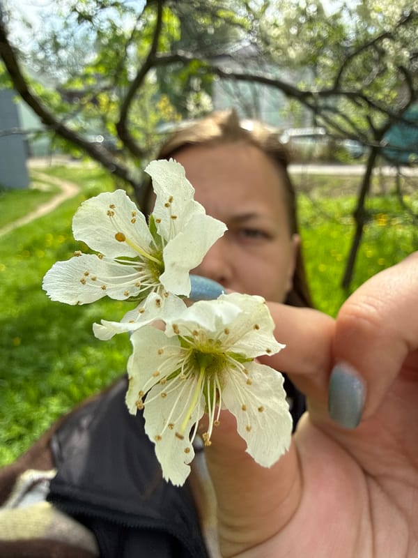 Spring morning activities captured in Dmitrov: flowers, blossoms, yard work