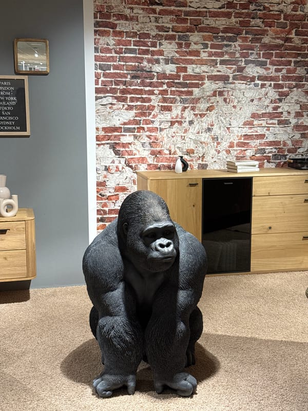 Furniture store activity documented in Remscheid, Germany