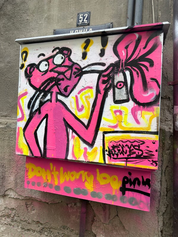 Street art and architectural displays documented in Sofia