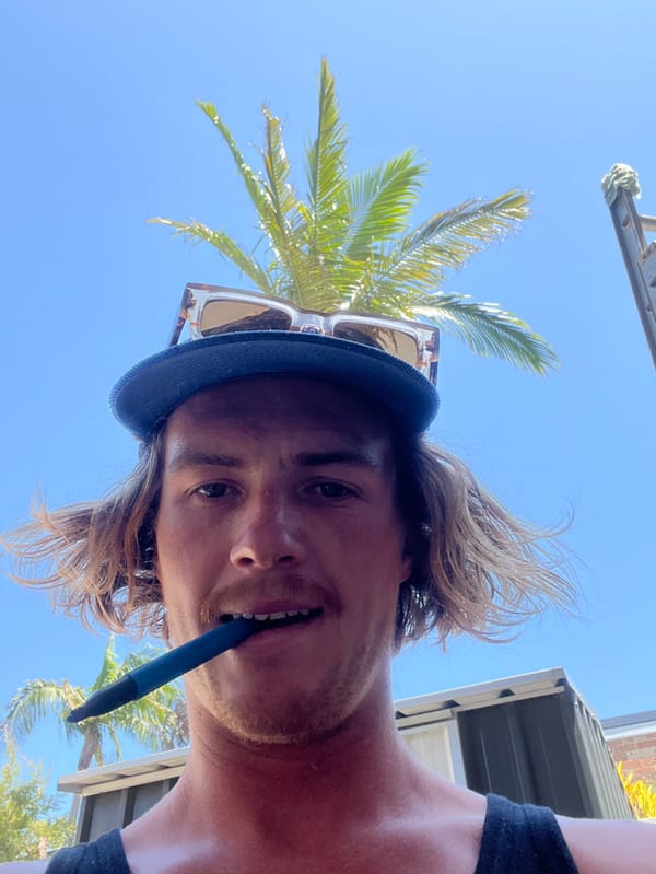 Man bites blue pen outdoors in Woronora Heights