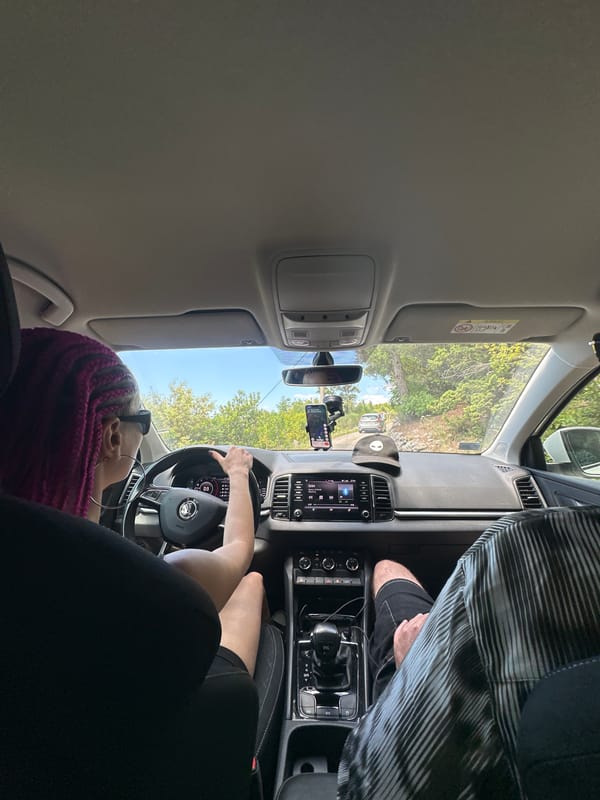 Driver with pink braids observed in Kubasi, Montenegro