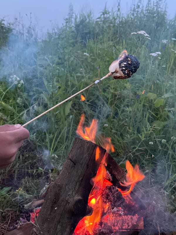 Campfire marshmallow toasting on a riverside bank in Chaikovsky