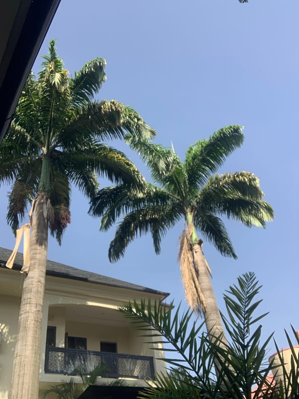 Laundry morning under blue skies in Abuja