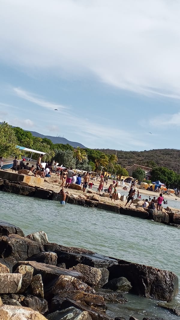 Coastal and inland landscapes documented in Pedro González, Venezuela