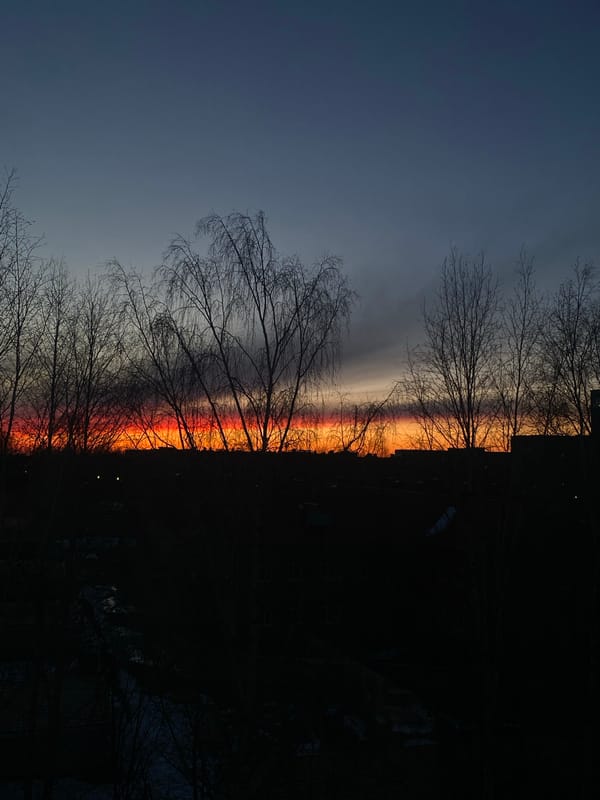 Quiet evening moments captured in Izhevsk: cats, hookah, sunset