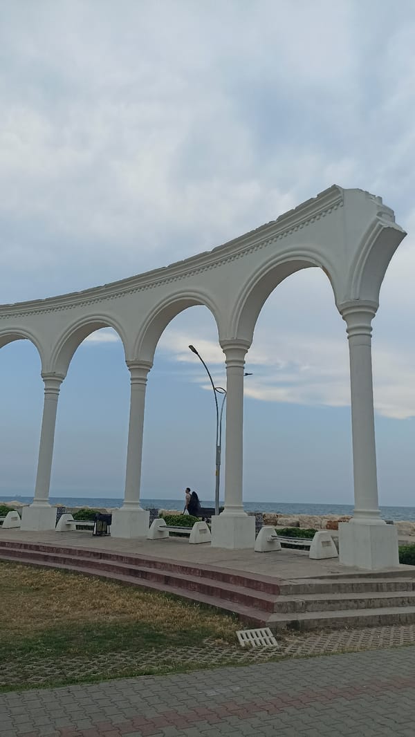 Cats claim seaside promenade in Yenişehir during overcast afternoon