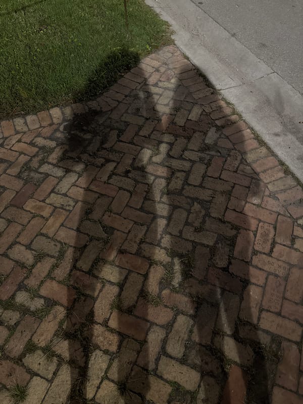 Herringbone brick sidewalk documented in Miami Beach