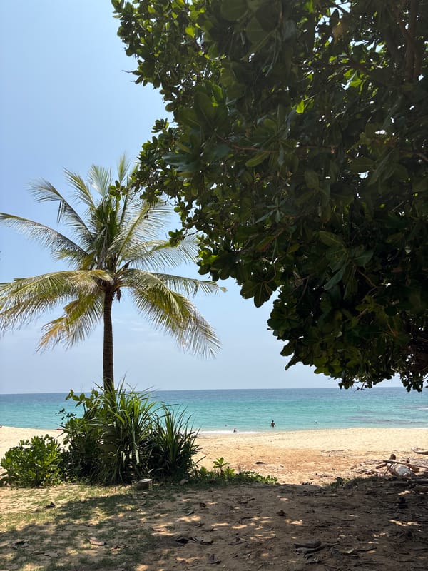 Early morning snorkeling session captured in Choeng Thale waters