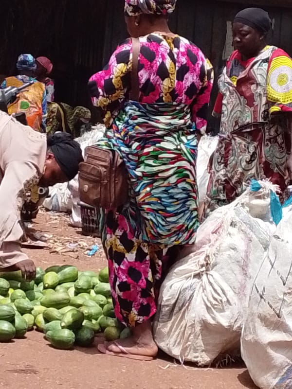 Daily market life documented in Tamale, Ghana