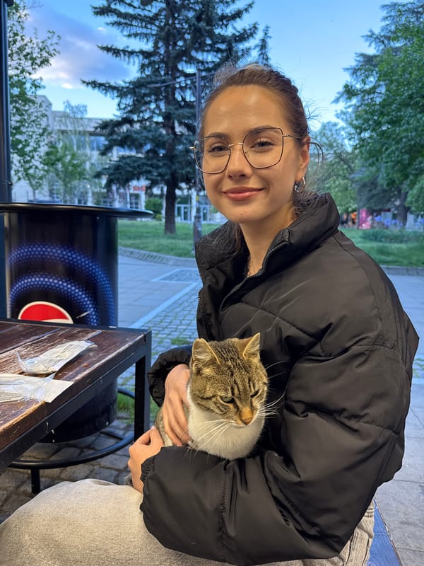 Cats spotted around outdoor dining area in Blagoevgrad