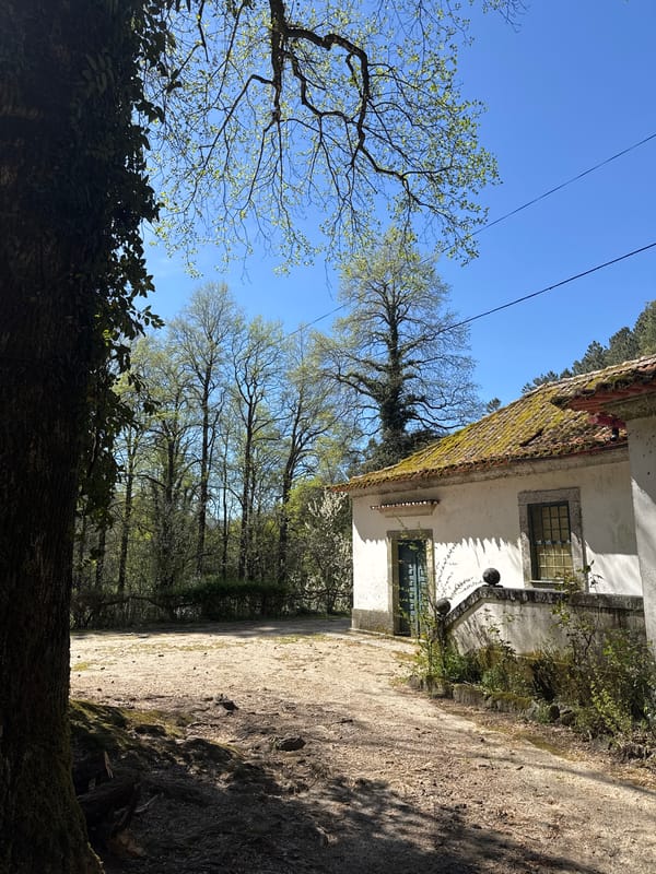 Rural white building with moss-covered roof documented in Amarante