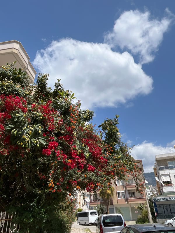 Morning scenes documented across Alanya, Turkey by single observer