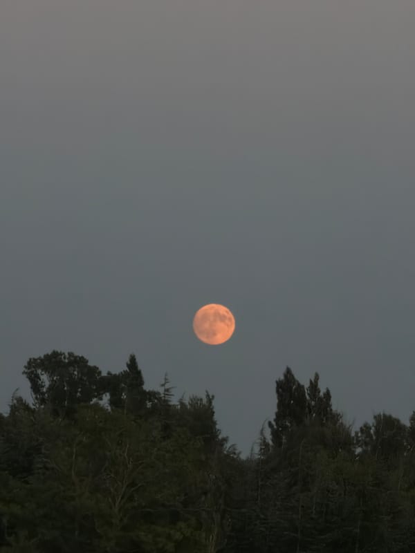 Orange moon rises over Pierrelatte as dessert is served