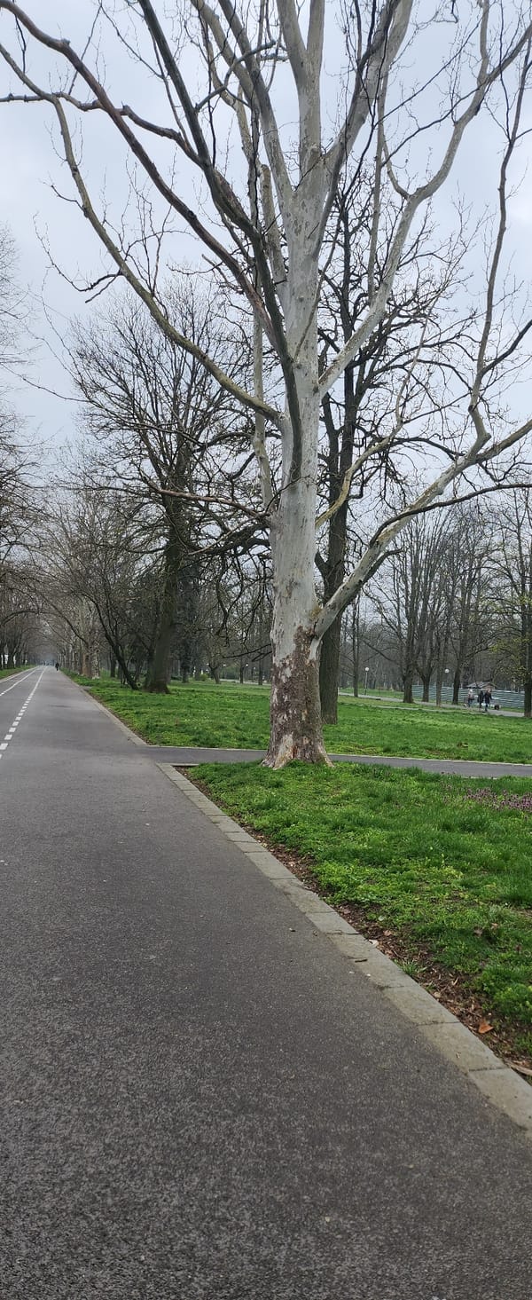Early morning scenes captured in Ruse, Bulgaria parks