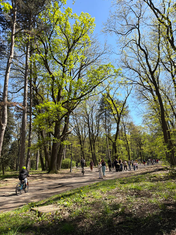 Friends enjoy spring afternoon in Sofia park