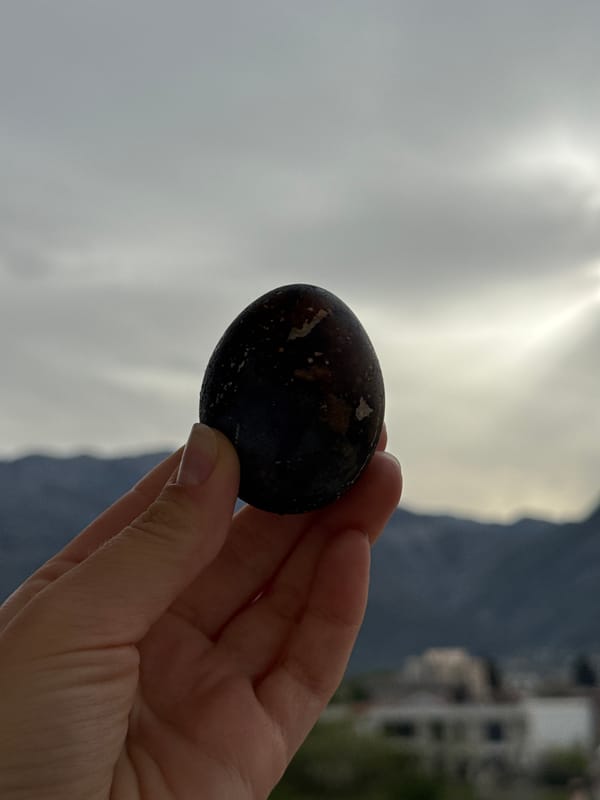 Person holds dark speckled object in Polje, Montenegro