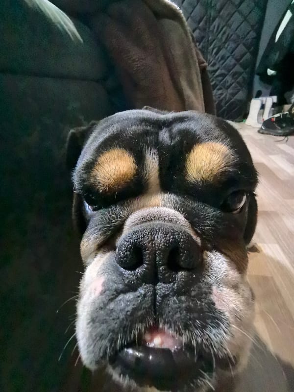 Ordinary moments documented in Noviy, Russia during overcast morning