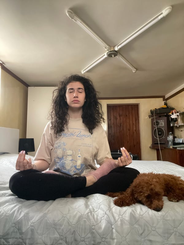 Woman enjoys Sunday morning yoga and reading with poodle