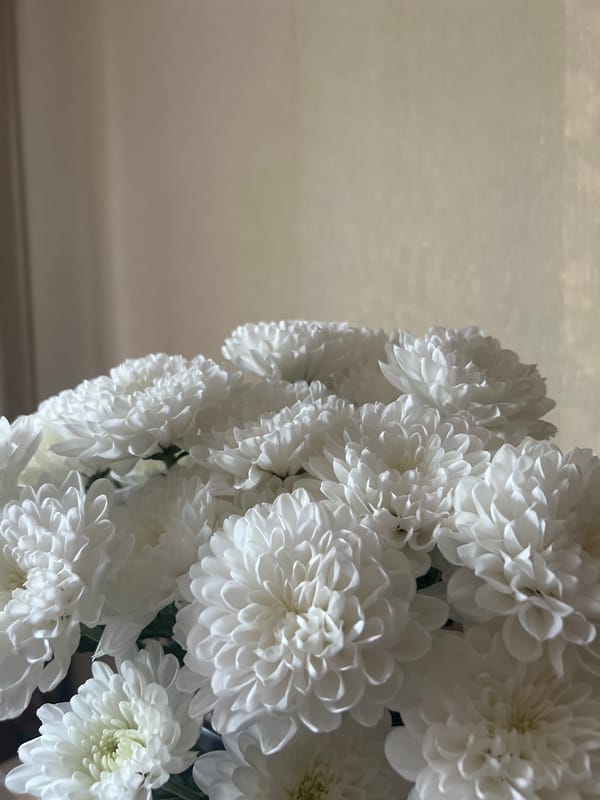 White chrysanthemums and a parked SUV near an apartment complex