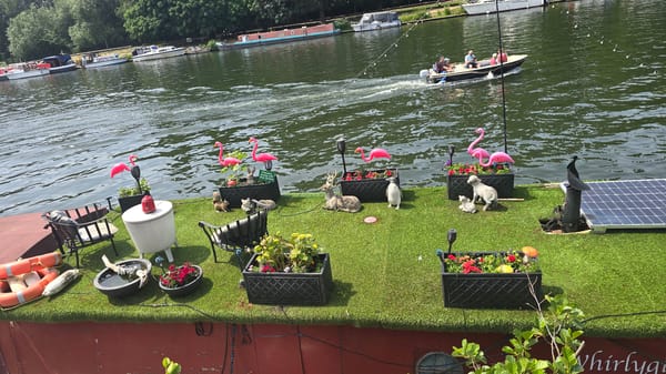 Decorated garden boat spotted on London river alongside wildlife