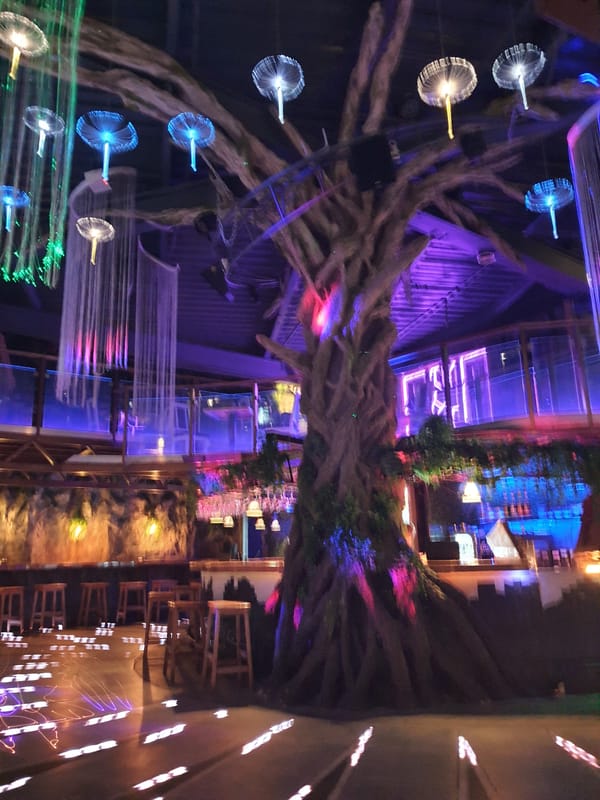 Restaurant interior features illuminated artificial tree in Liski, Russia