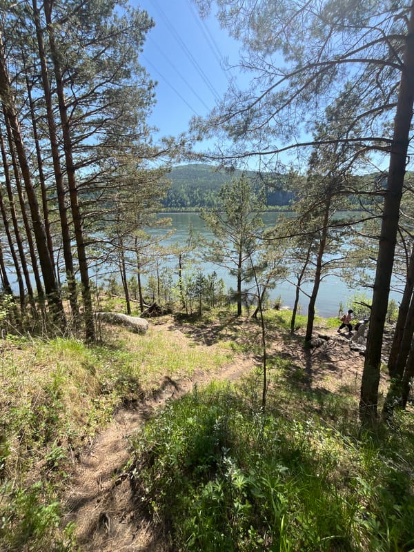 Morning nature outing documented along Krasnoyarsk riverbank