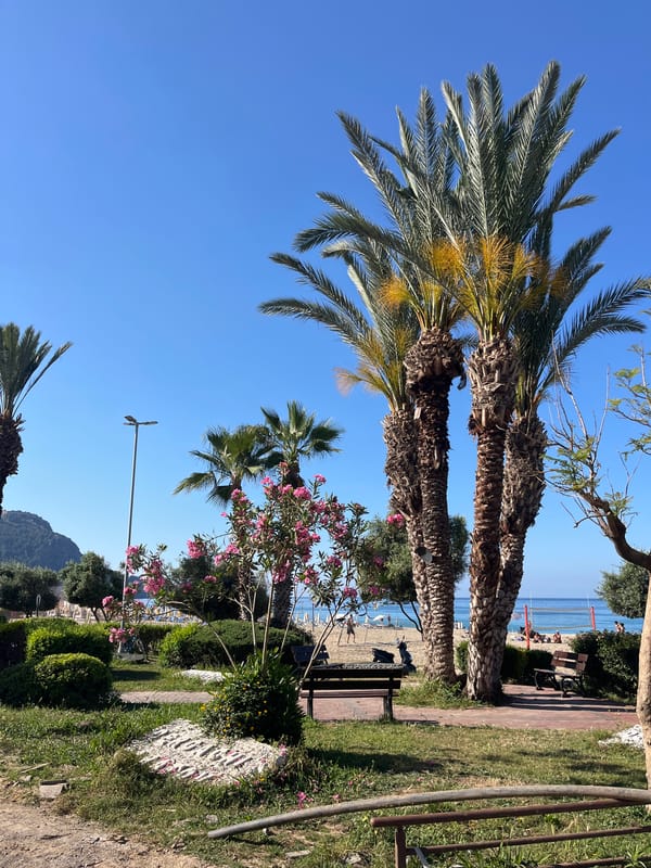 Women stroll seaside walkway in early morning Alanya