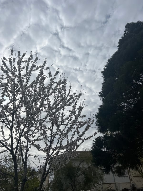 Gym workout documented through selfies in Zlatograd, Bulgaria